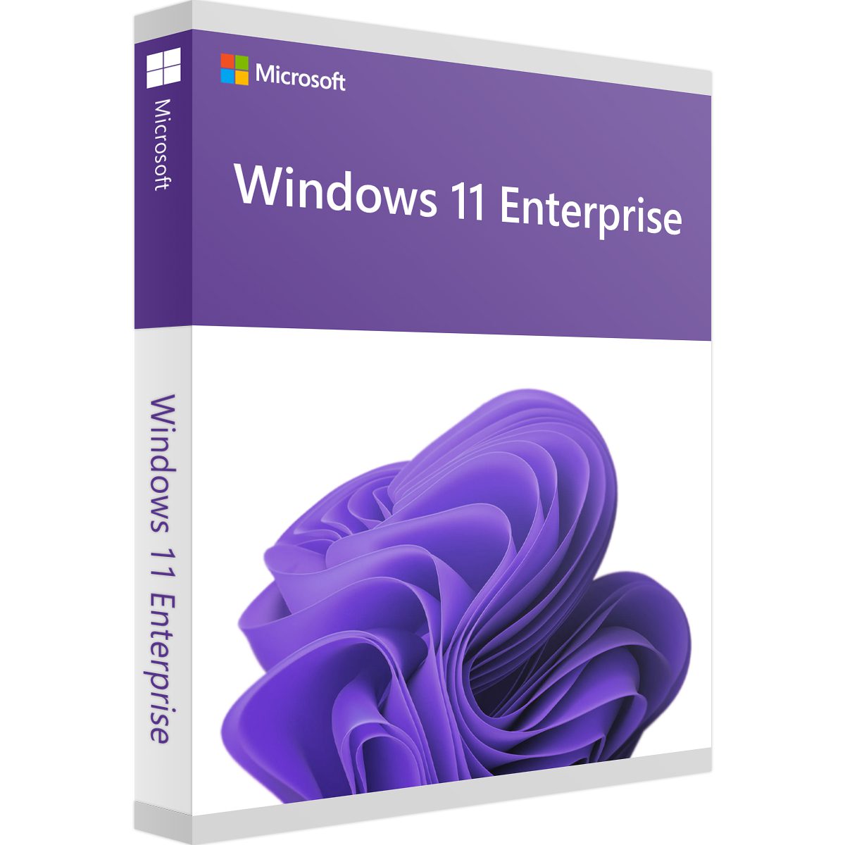 Microsoft Windows 11 Enterprise Lifetime Validity Key