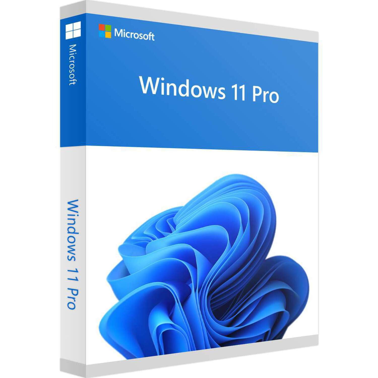 Microsoft Windows 11 Pro Lifetime Validity Key